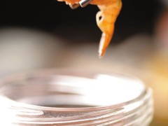 怎样做西昌醉虾