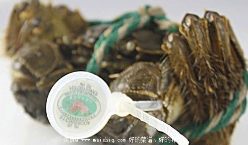 怎样识别正宗“阳澄湖牌”大闸蟹