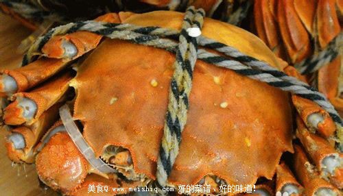 怎样识别正宗“阳澄湖牌”大闸蟹