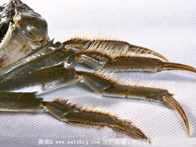 教你怎样挑选大闸蟹。