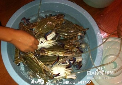 教你如何保存大闸蟹、买回家的大闸蟹应该怎样处理？