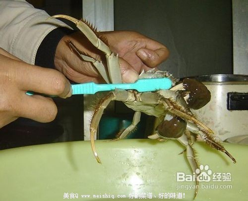 大闸蟹的食用注意事项！