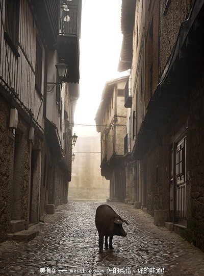 西班牙火腿制作全程腌制前生猪散养吃橡子