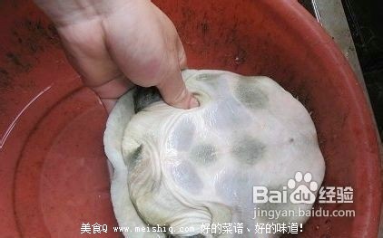 甲鱼怎么杀？简单的杀王八(团鱼or鳖)的方法！