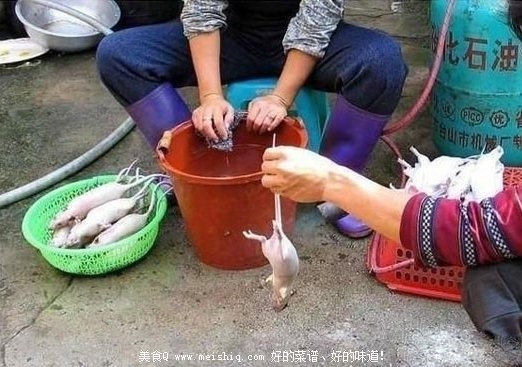 恶心的死老鼠变身烤“乳鸽”全过程