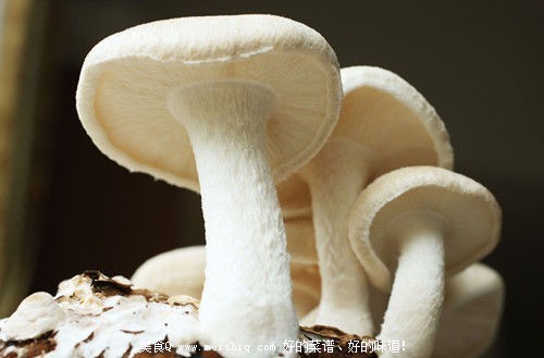 吃方便面会中毒？谨慎13种易引起中毒的美食