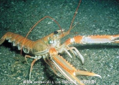 盘点强迫症的食疗小妙方