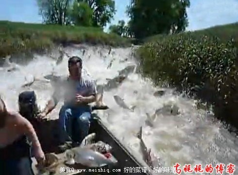 中国鲤鱼美国称霸惹恼白宫斥资歼灭