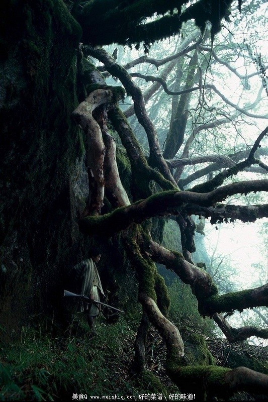 为了那口甜食-喜马拉雅峭壁上的尼泊尔采蜂者