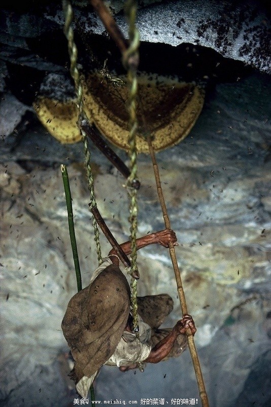 为了那口甜食-喜马拉雅峭壁上的尼泊尔采蜂者
