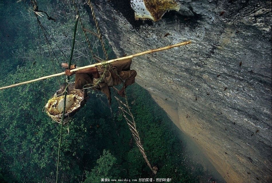 为了那口甜食-喜马拉雅峭壁上的尼泊尔采蜂者