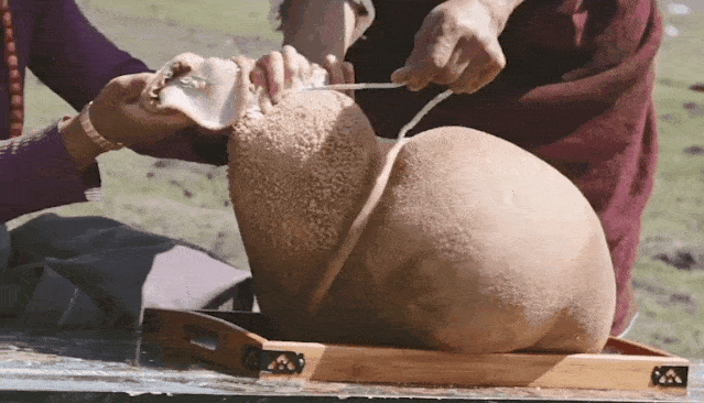 每个地方对于吃“肚子”的理解都有所不同