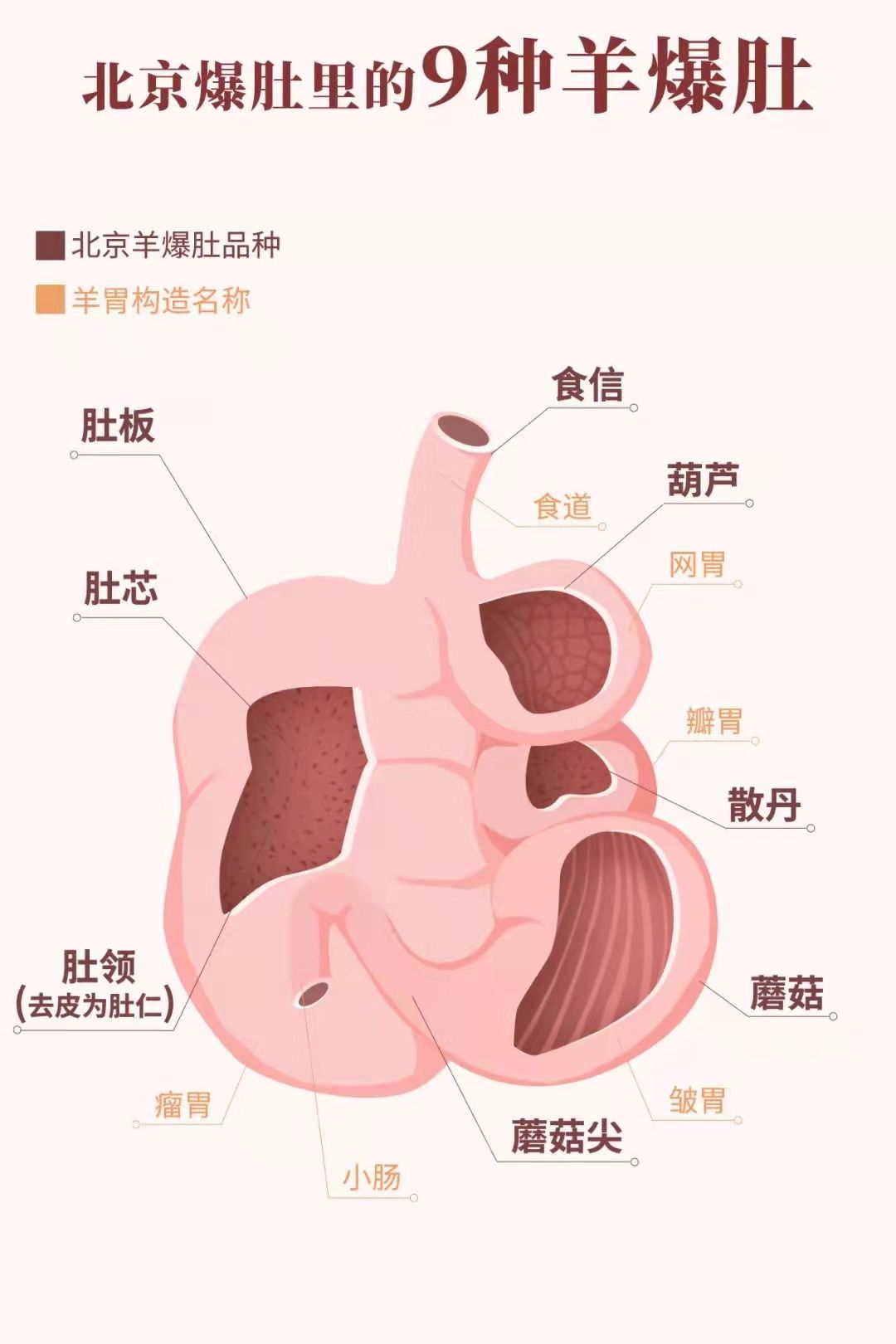 每个地方对于吃“肚子”的理解都有所不同