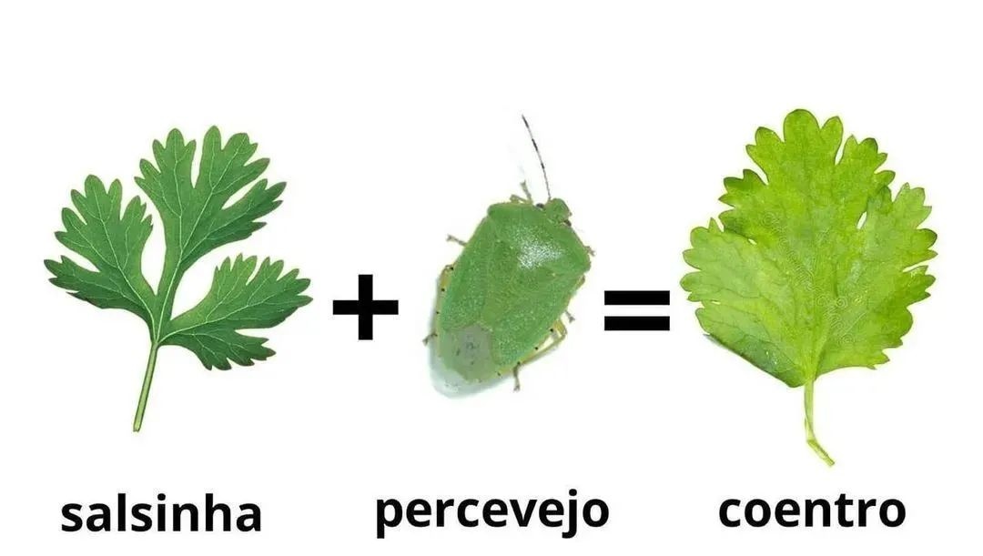 你不吃香菜？那我们分手吧！