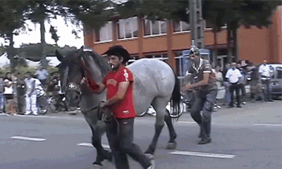 新疆美食之【马肉纳仁】