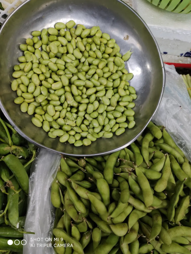 南方菜市场的服务到底有多周到，北方人见了直呼震撼！